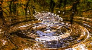 Water by qimono on pixabay