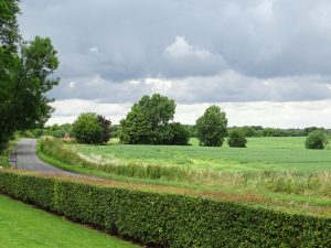 Countryside around Cambridge_ Adam Jones