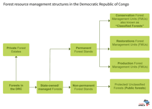 Forest Management in the DRC