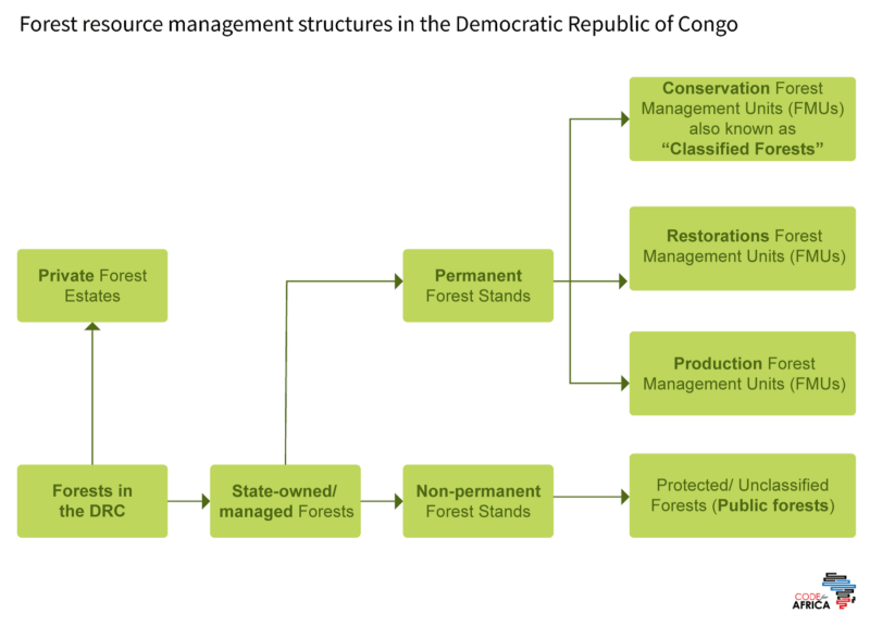 Forest Management in the DRC