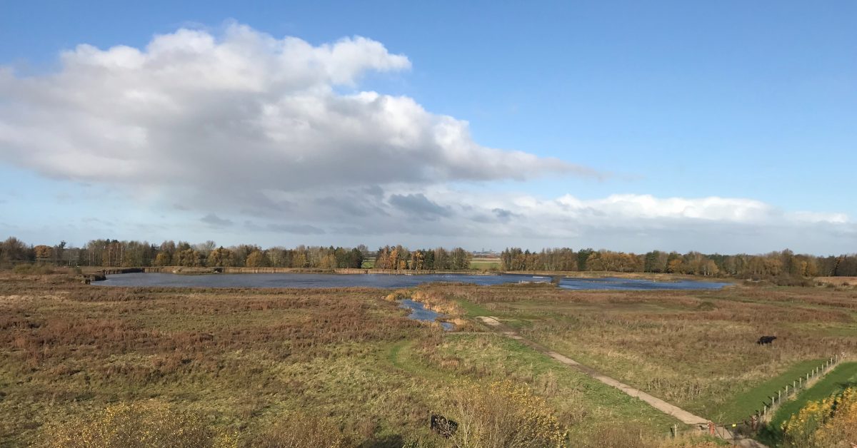 Half term events at Kingfishers Bridge Cambridge Conservation Forum